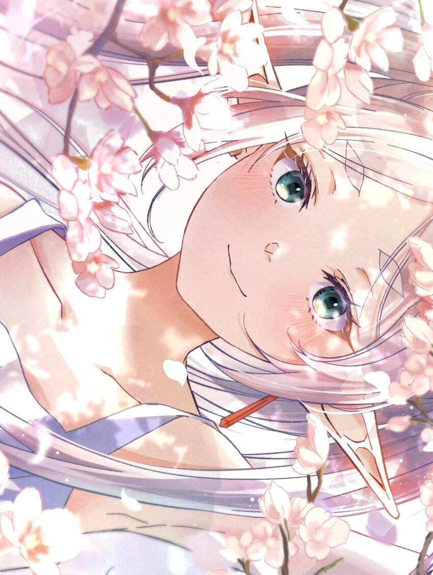Frieren (Sousou No Frieren) Rule 34 Image