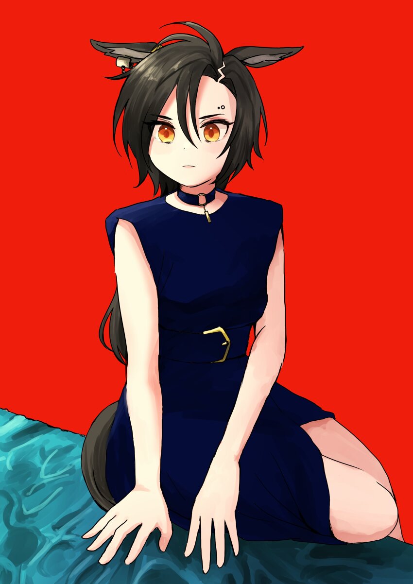 Air Shakur (Umamusume) Rule 34 Image