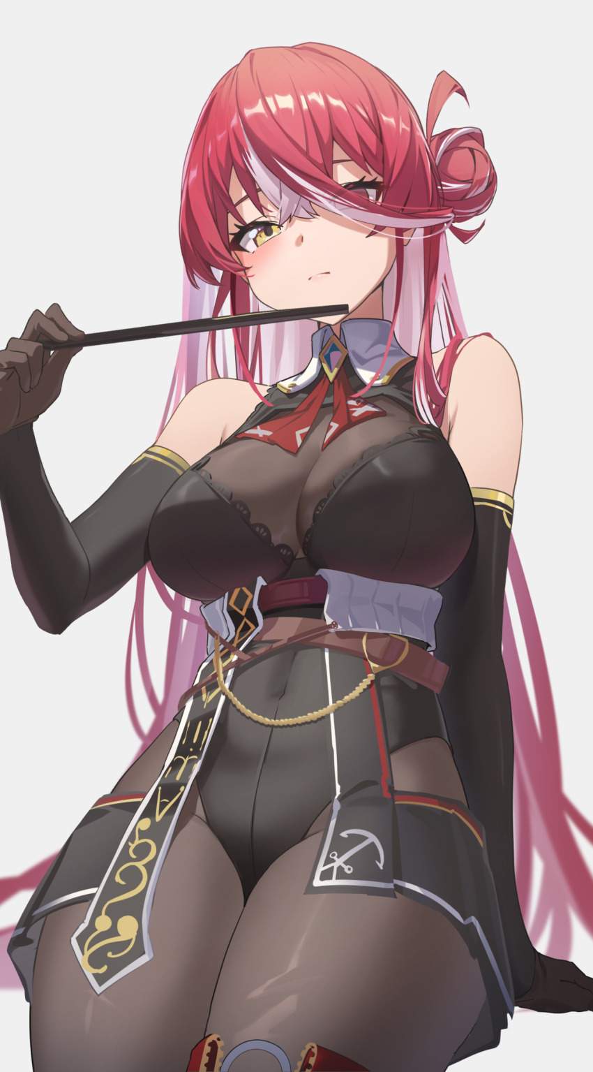 Houshou Marine (Hololive) Rule 34 Image