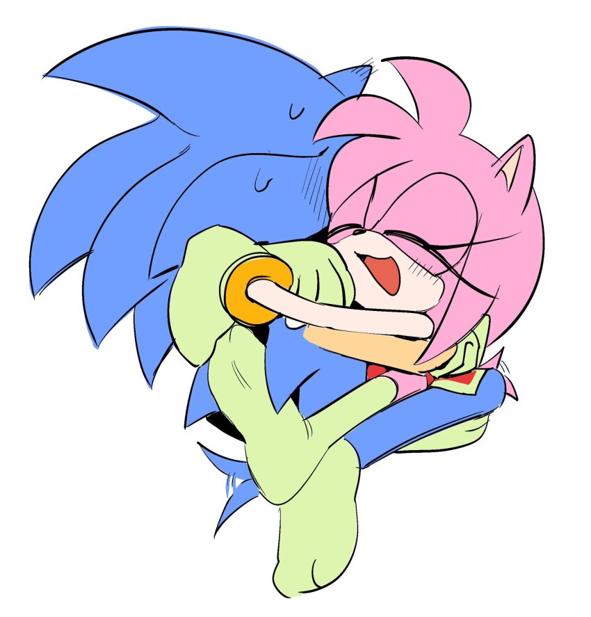Amy Rose (Sonic (Series)) Rule 34 Image