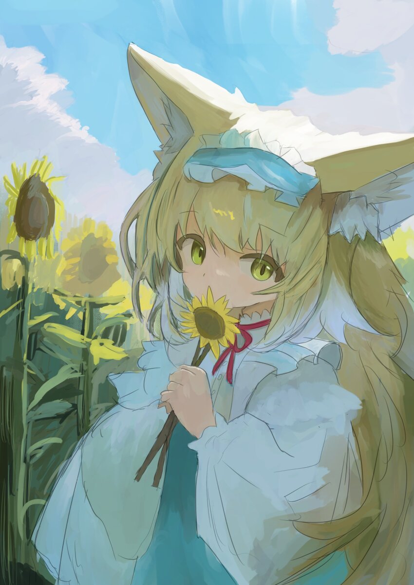 Suzuran (Arknights) Rule 34 Image
