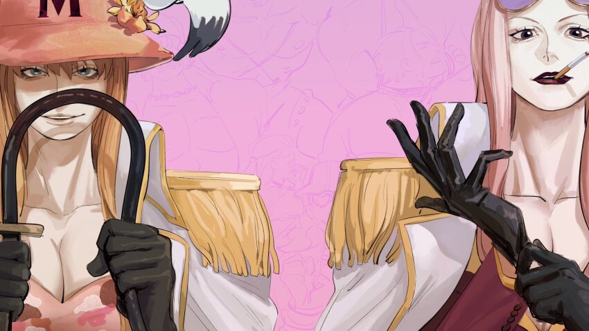 Hina (One Piece) Rule 34 Image