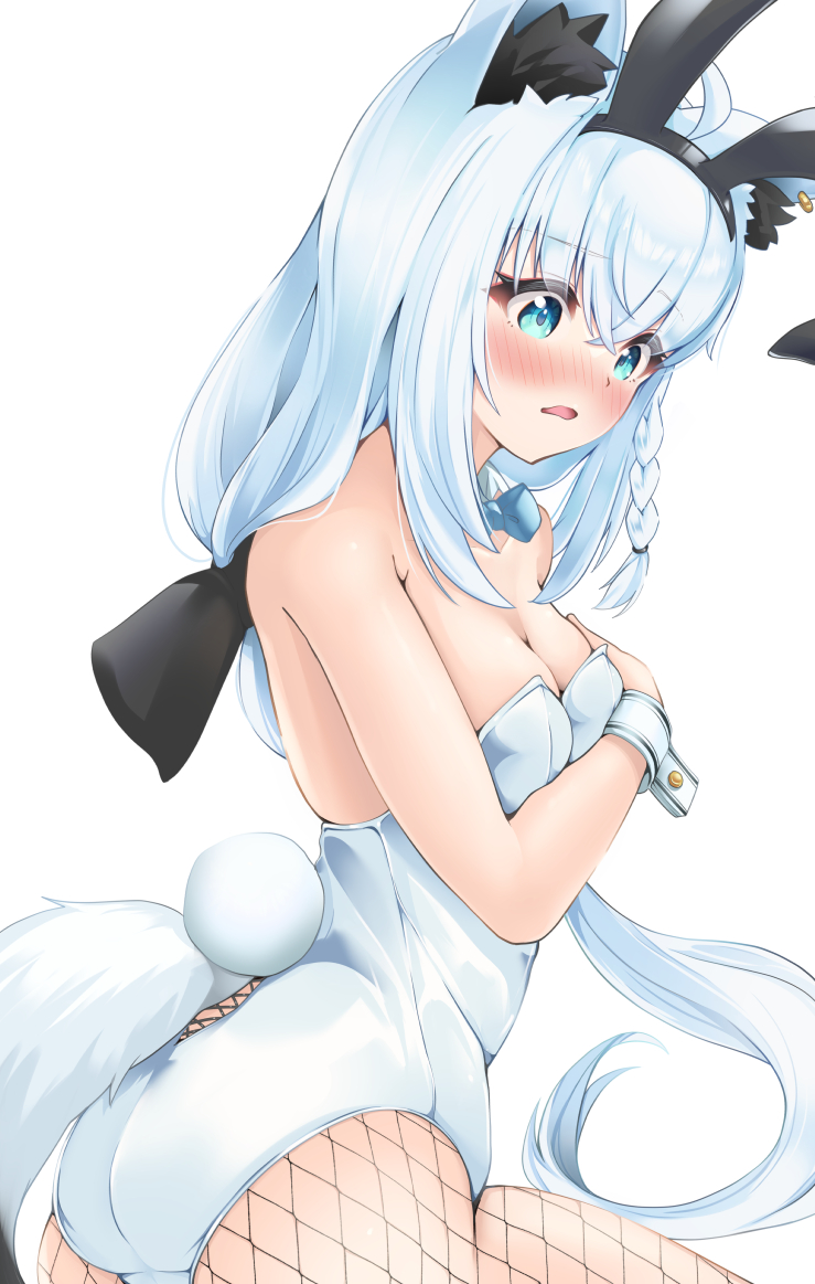 Shirakami Fubuki (Hololive) Rule 34 Image