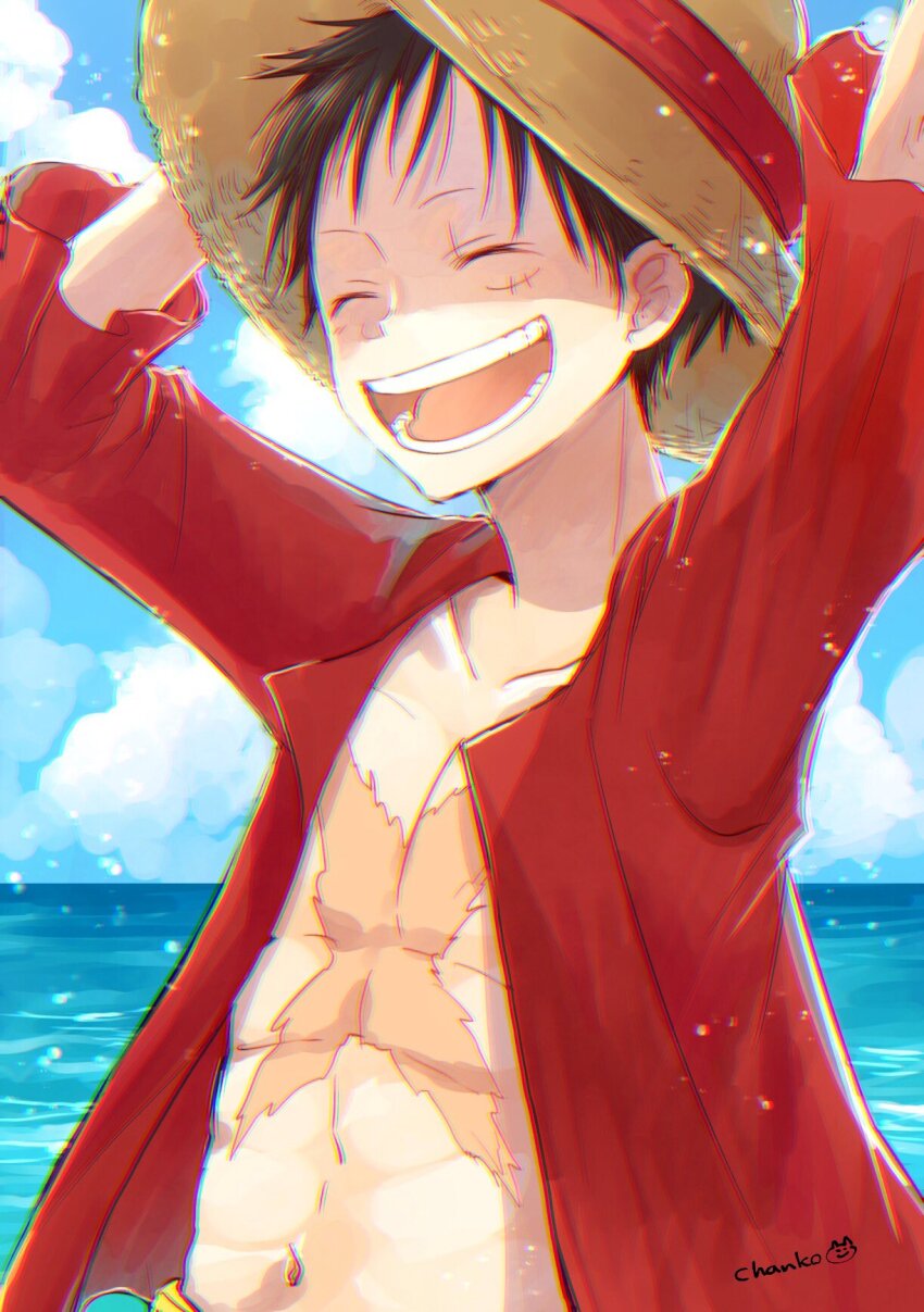 Monkey D. Luffy Rule 34 Image