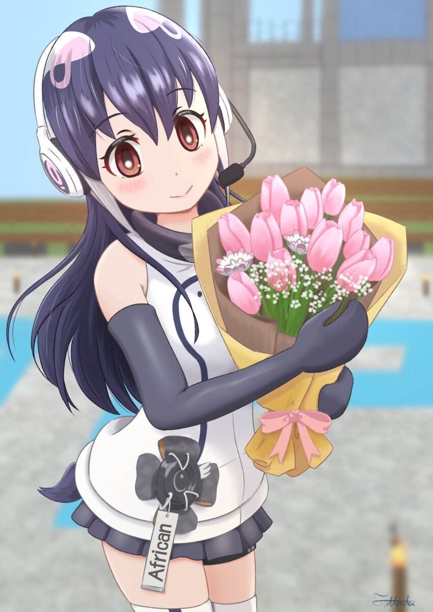African Penguin (Kemono Friends) Rule 34 Image