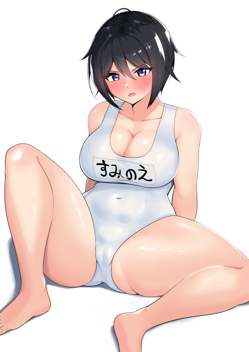 Suminoe Shion (Dolphin Wave) Rule 34 Image