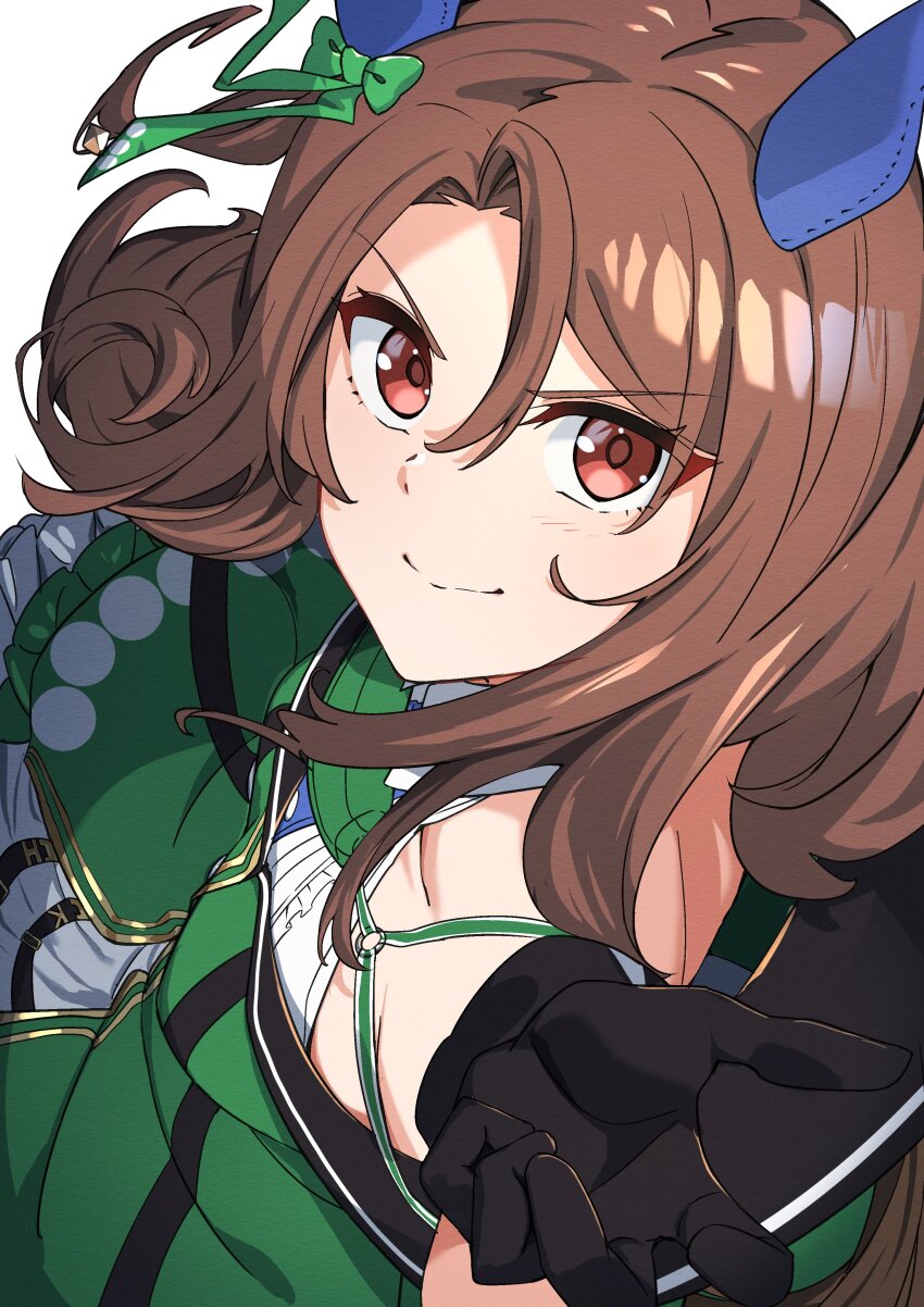 King Halo (Umamusume) Rule 34 Image