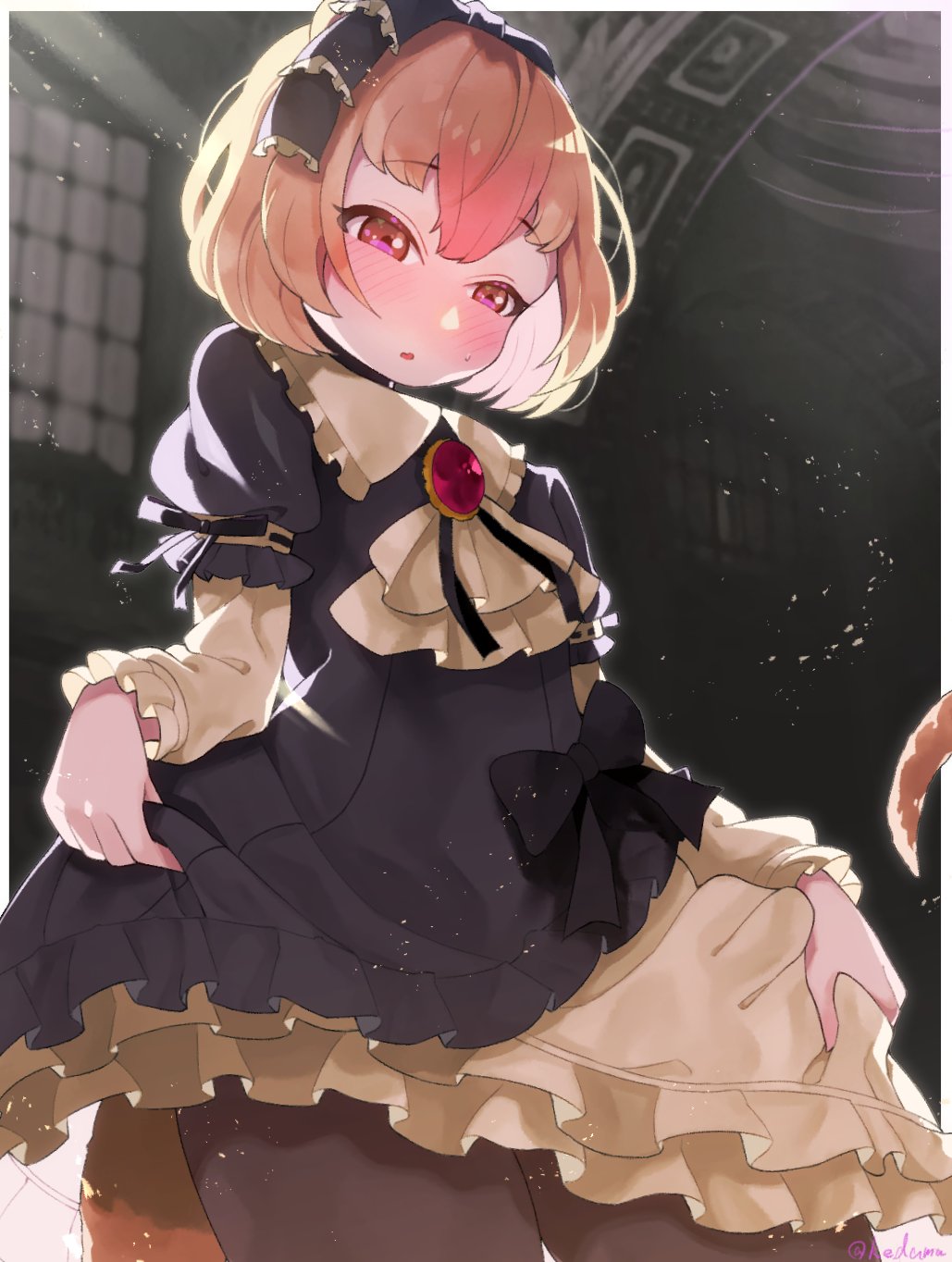 Kemono Friends Rule 34 Image