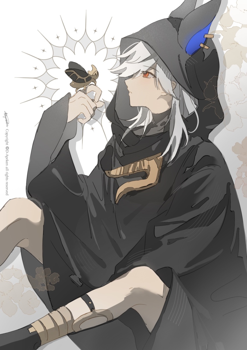 Cyno (Genshin Impact) Rule 34 Image