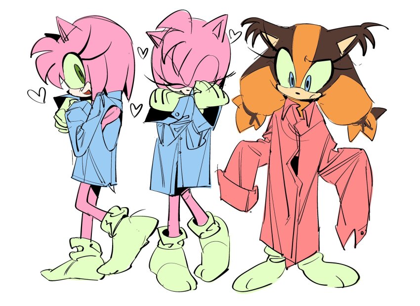 Amy Rose (Sonic (Series)) Rule 34 Image