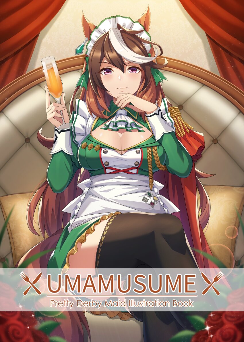 Symboli Rudolf (Umamusume) Rule 34 Image