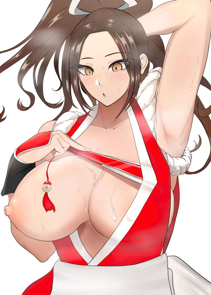 Fatal Fury Rule 34 Image