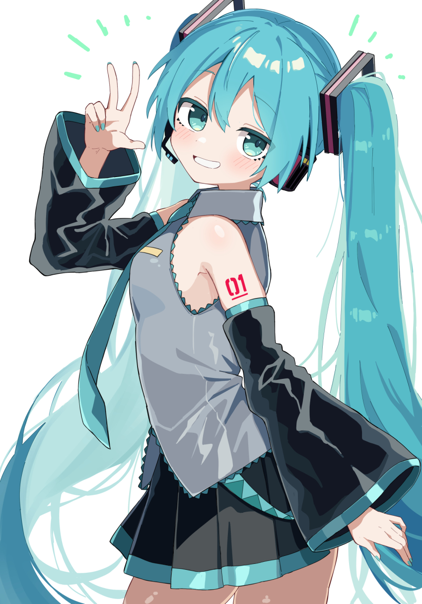 Hatsune Miku (Vocaloid) Rule 34 Image