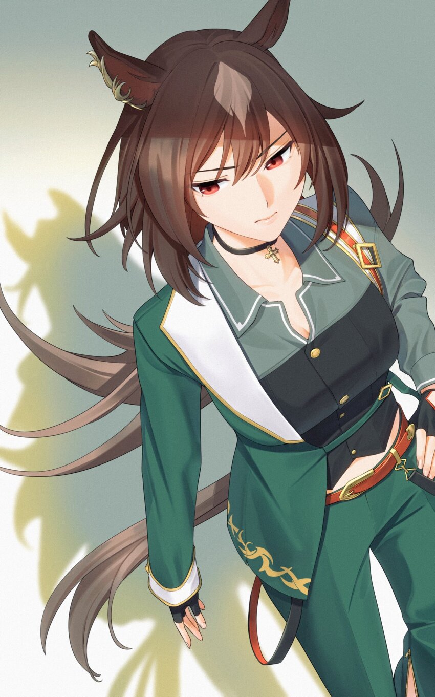 Sirius Symboli (Umamusume) Rule 34 Image