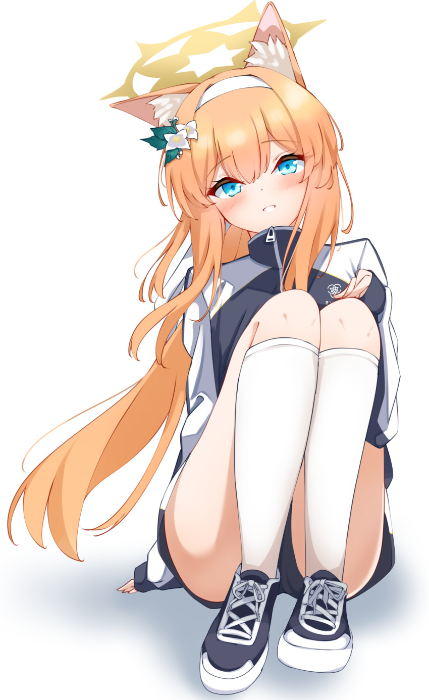 Mari (Blue Archive) Rule 34 Image