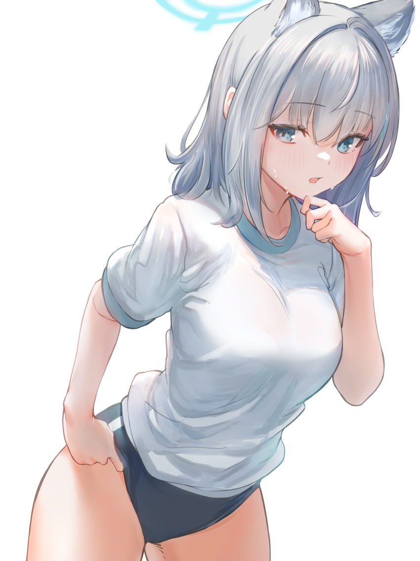Shiroko (Blue Archive) Rule 34 Image