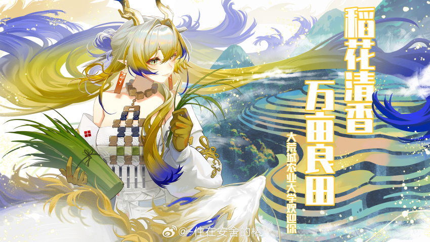 Shu (Arknights) Rule 34 Image