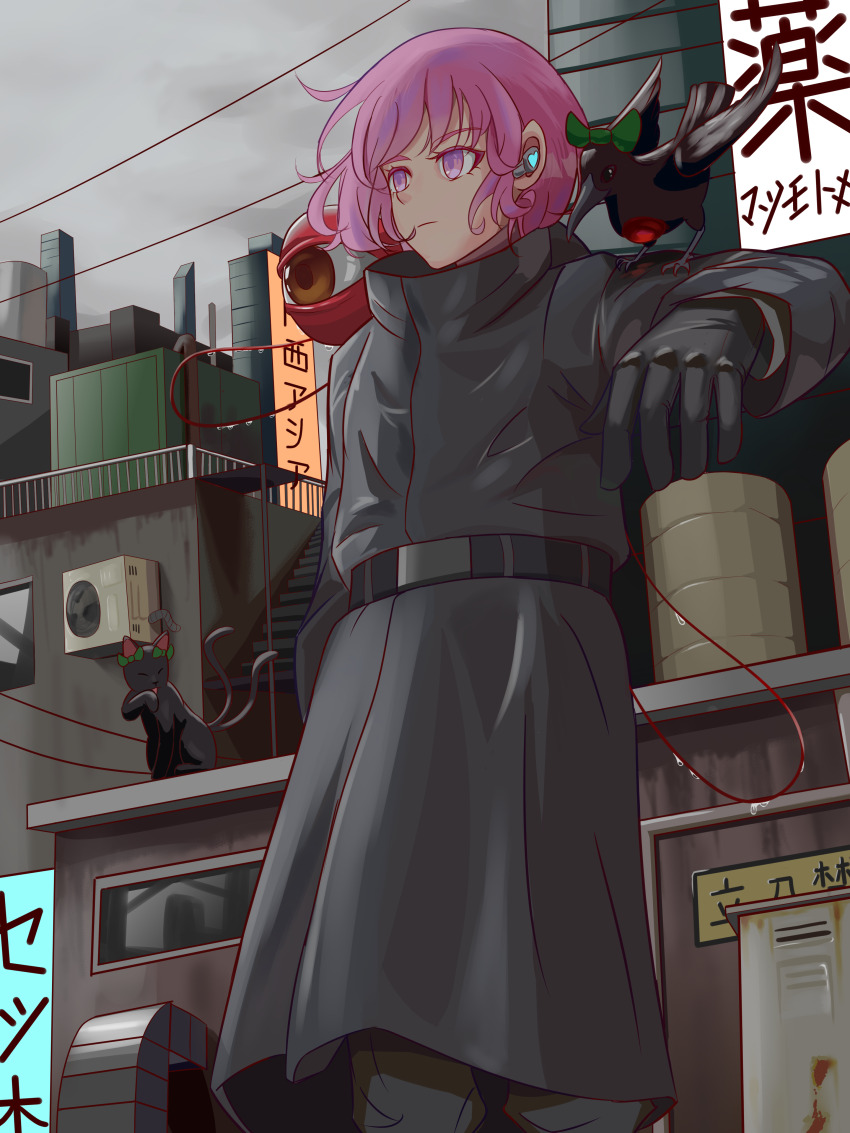 Kaenbyou Rin (Touhou) Rule 34 Image