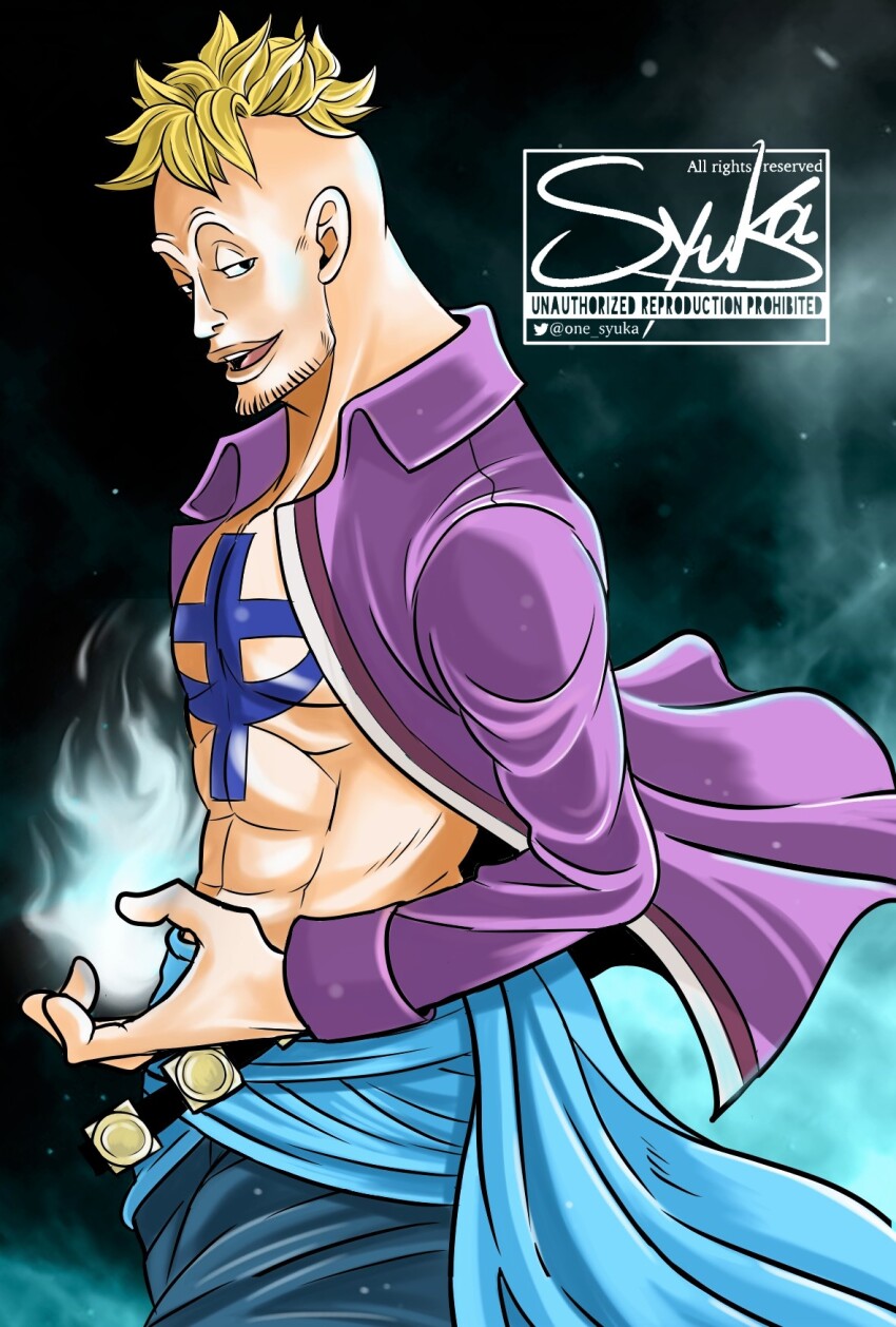 Marco (One Piece) Rule 34 Image