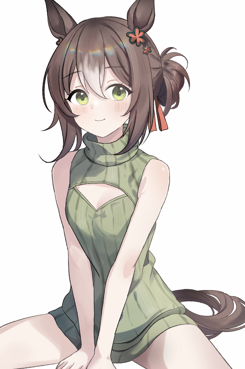 Fine Motion (Umamusume) Rule 34 Image