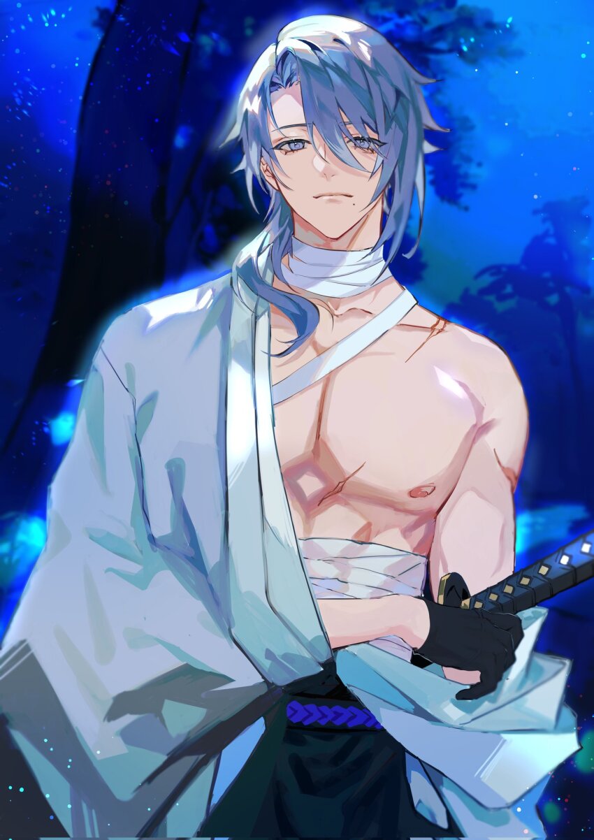 Kamisato Ayato (Genshin Impact) Rule 34 Image