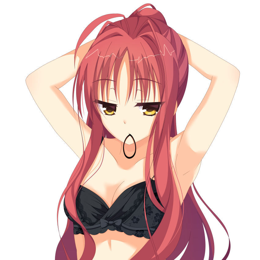 Yarai Miu (Dracu-Riot!) Rule 34 Image