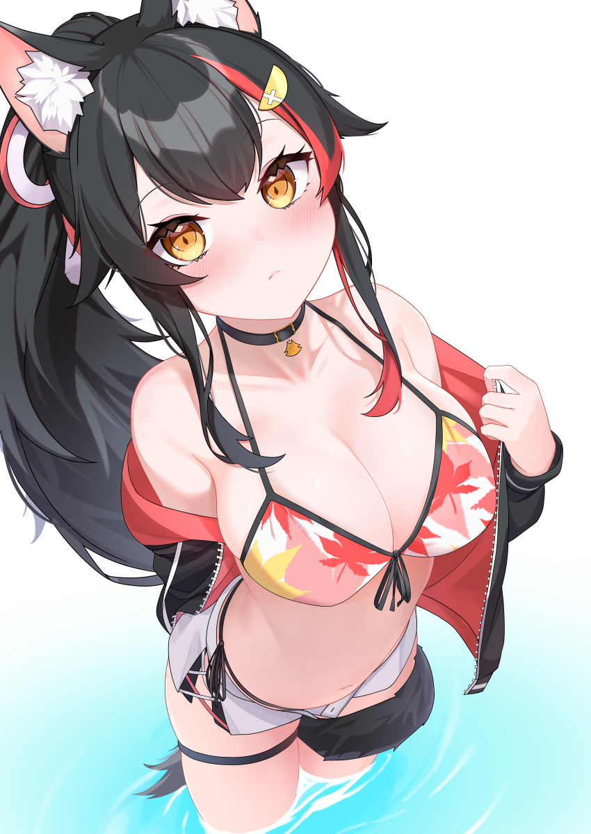 Ookami Mio (Hololive) Rule 34 Image