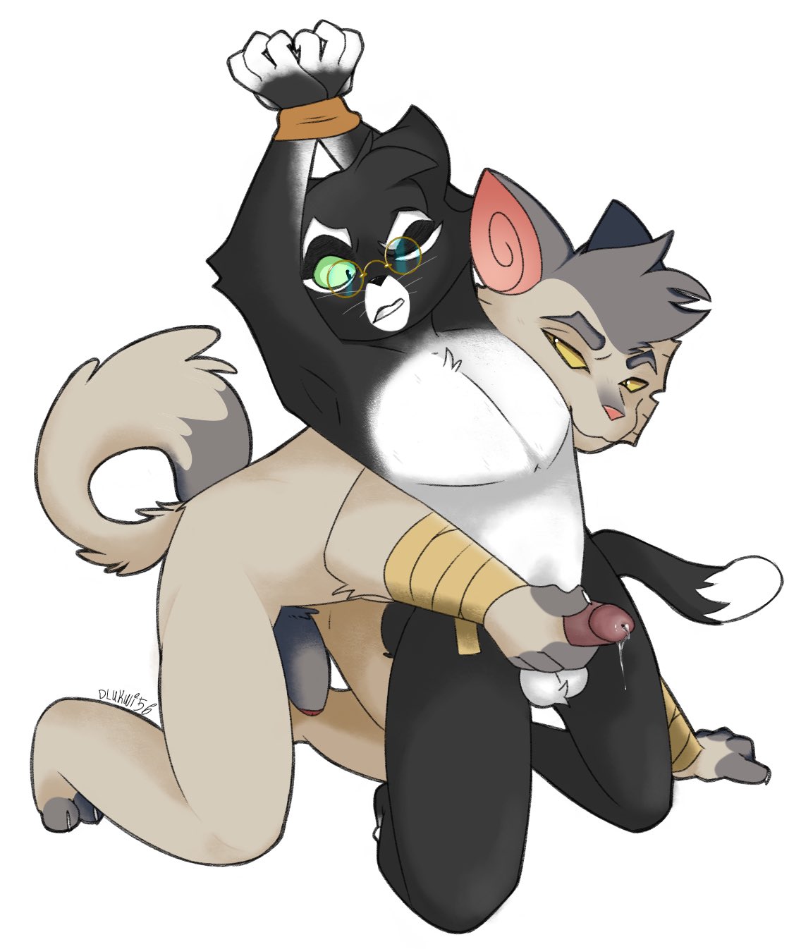 Mordecai Heller (Lackadaisy) Rule 34 Image