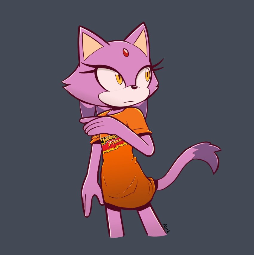 Blaze The Cat (Cheetos) Rule 34 Image