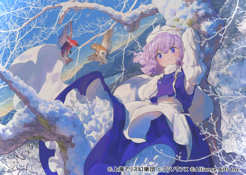 Letty Whiterock (Touhou) Rule 34 Image