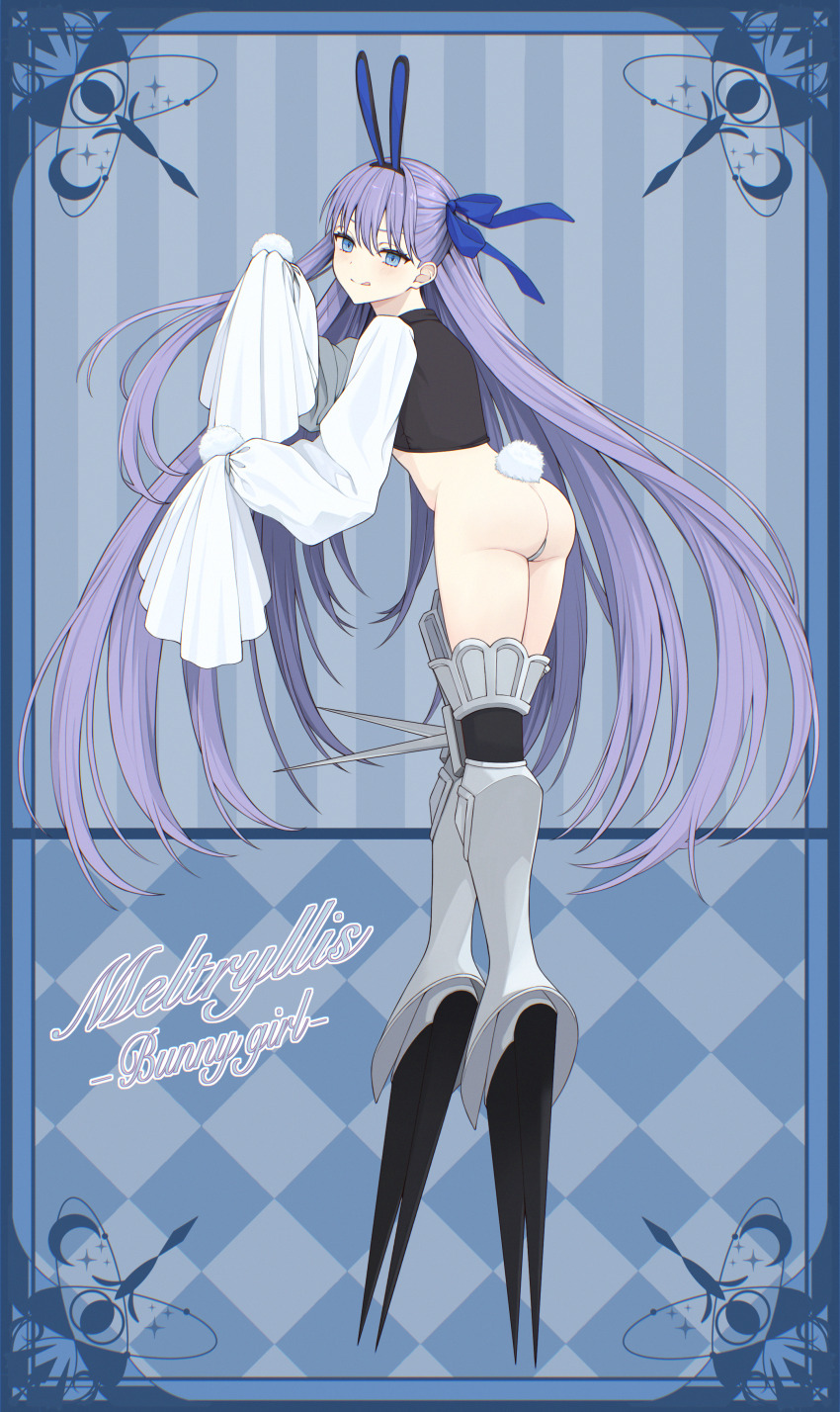 Meltryllis (Fate) Rule 34 Image