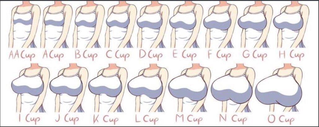 Breasts Rule 34 Image