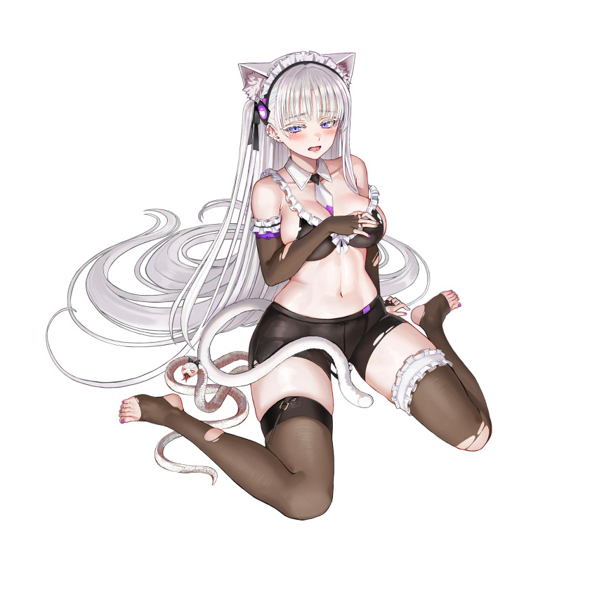 Cheona (Last Origin) Rule 34 Image