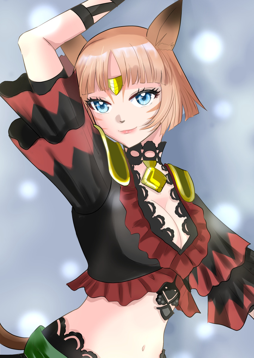 Adventurer (Ff11) Rule 34 Image