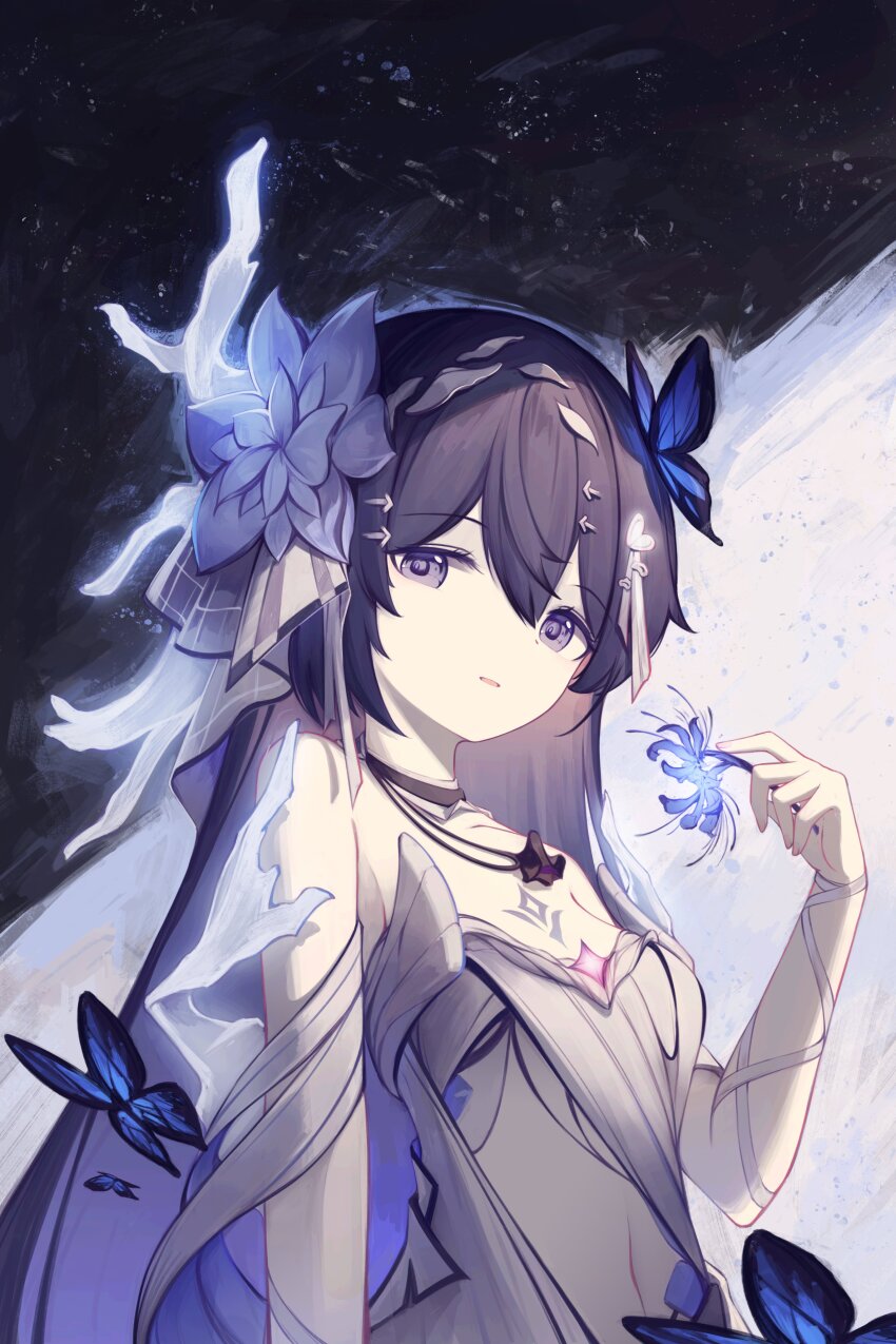 Seele Vollerei (Honkai (Series)) Rule 34 Image