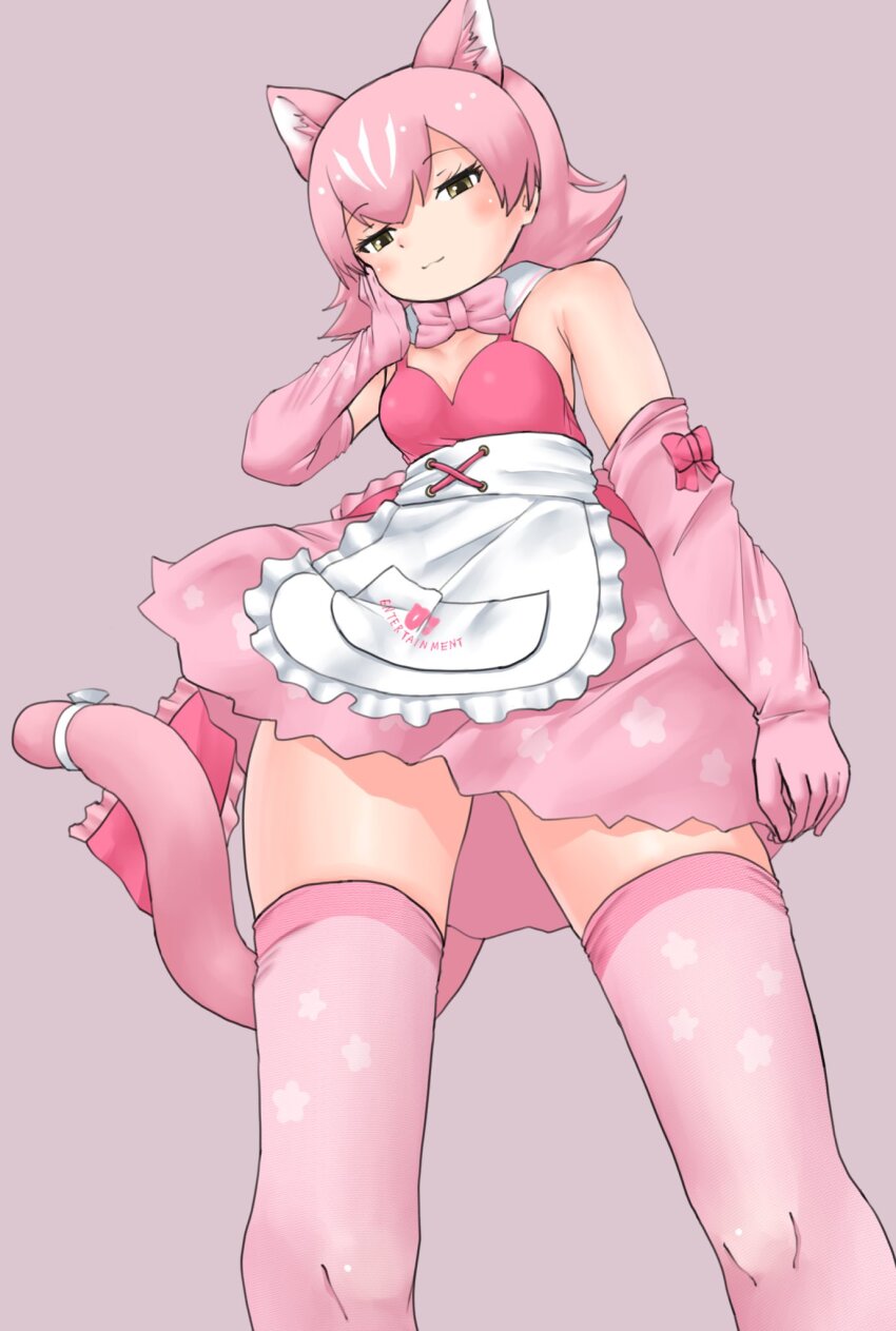 Peach Panther (Kemono Friends) Rule 34 Image
