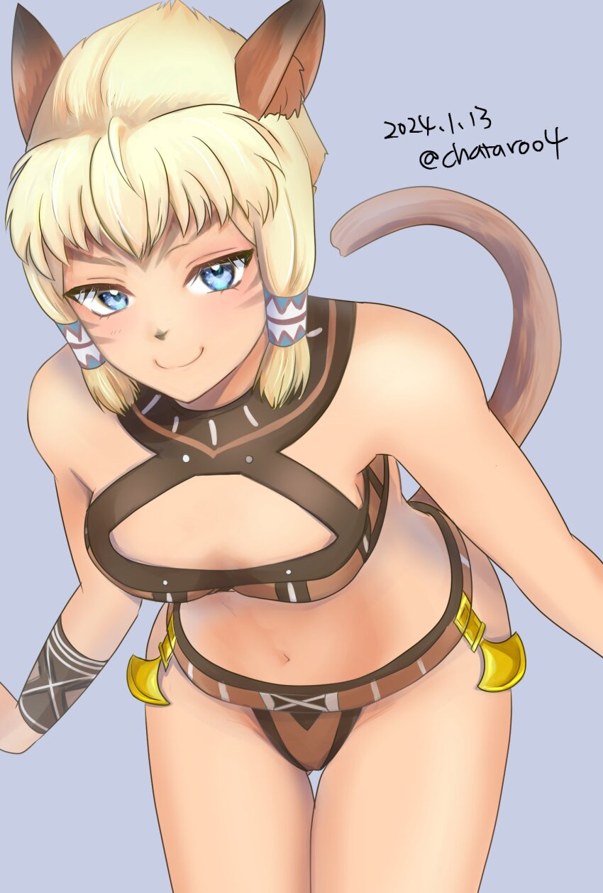Adventurer (Ff11) Rule 34 Image