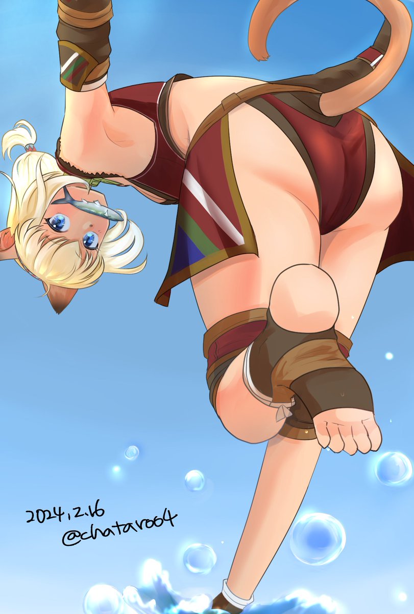 Adventurer (Ff11) Rule 34 Image
