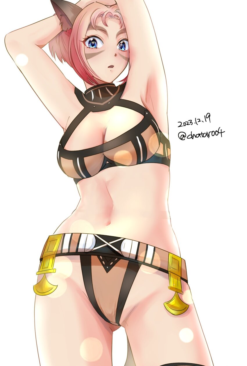 Adventurer (Ff11) Rule 34 Image