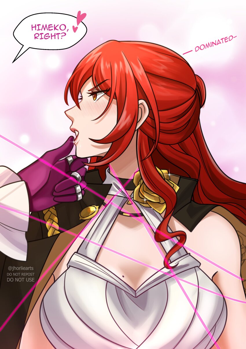 Himeko (Honkai: Star Rail) Rule 34 Image