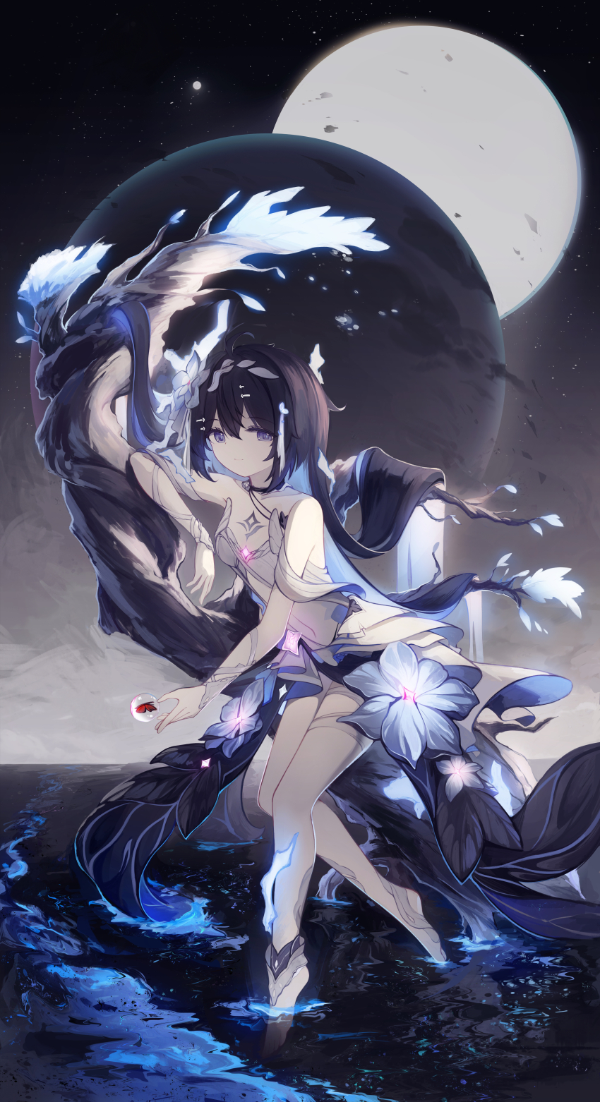Seele Vollerei (Honkai (Series)) Rule 34 Image