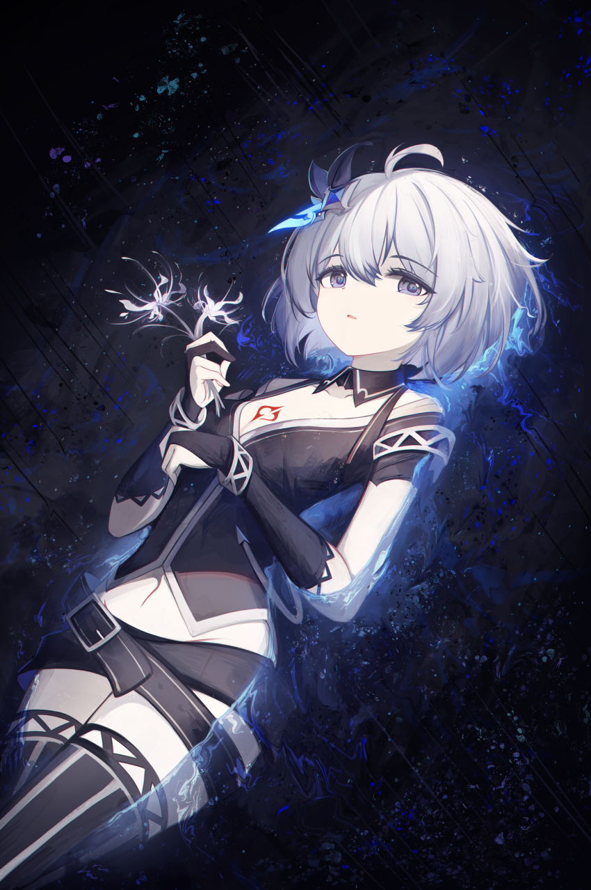 Seele Vollerei (Benghuai Xueyuan) Rule 34 Image