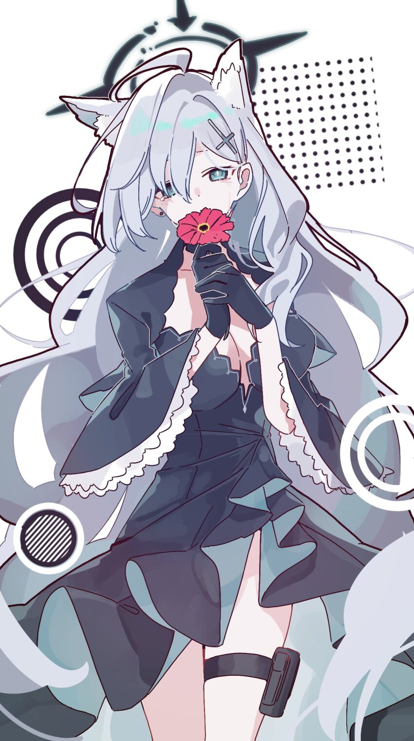 Shiroko Terror (Blue Archive) Rule 34 Image