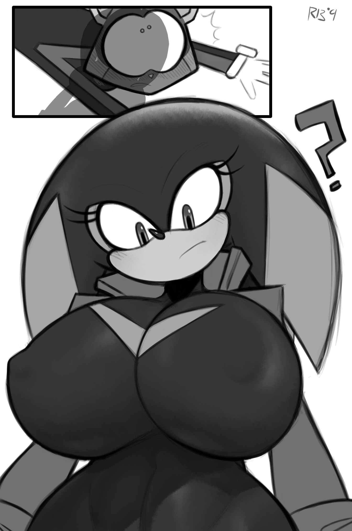 Original Character (Sonic (Series)) Rule 34 Image
