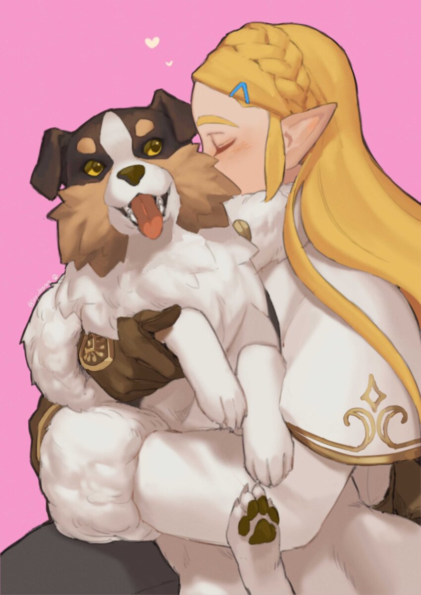 Princess Zelda (Nintendo) Rule 34 Image