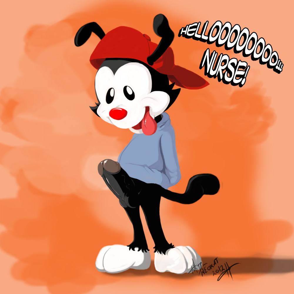 Wakko Warner (Animaniacs) Rule 34 Image
