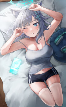 Shiroko (Blue Archive) Rule 34 Image