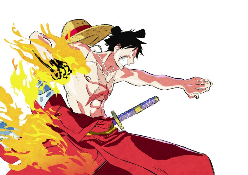 Monkey D. Luffy Rule 34 Image