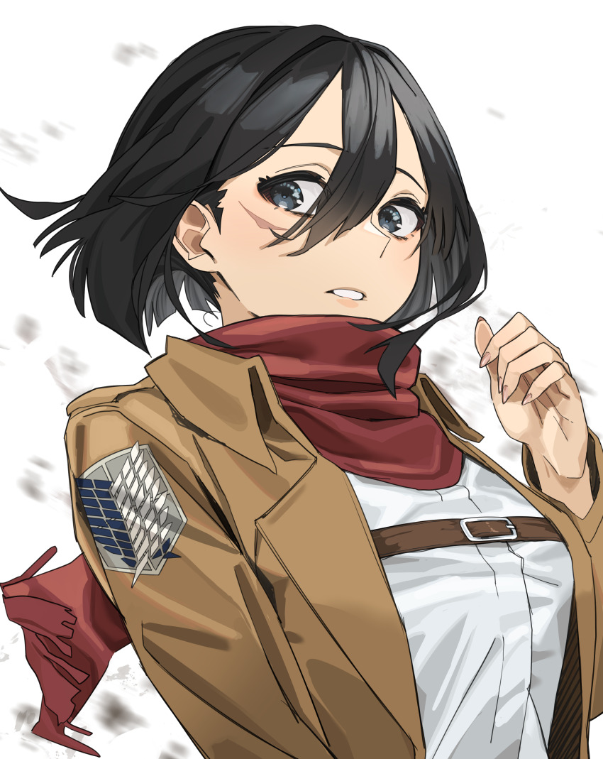 Mikasa Ackerman (Shingeki No Kyojin) Rule 34 Image