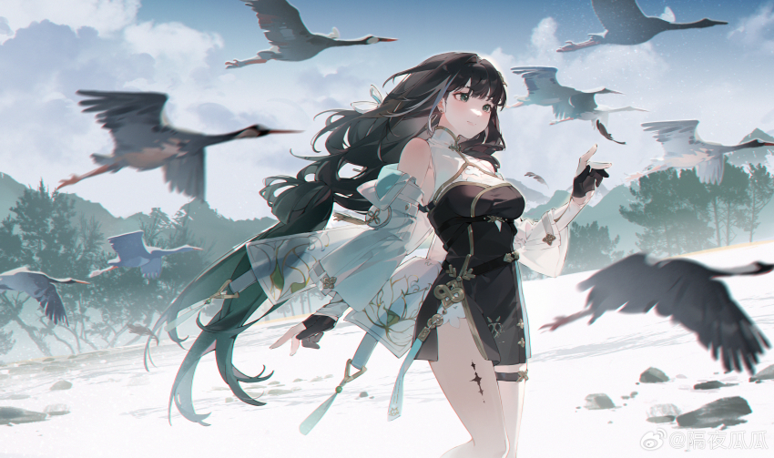 Baizhi (Wuthering Waves) Rule 34 Image